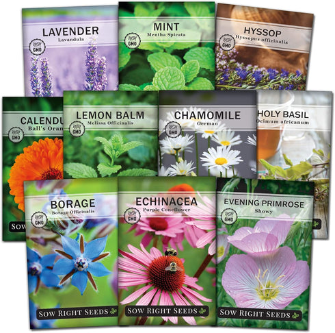 Sow Right Seeds - Large Herbal Tea Garden Seed Collection for Planting - Lemon Balm, Mint, Chamomile, Lavender, Echinacea, Borage, Hyssop, Calendu...
