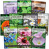 Sow Right Seeds - Large Herbal Tea Garden Seed Collection for Planting - Lemon Balm, Mint, Chamomile, Lavender, Echinacea, Borage, Hyssop, Calendu...