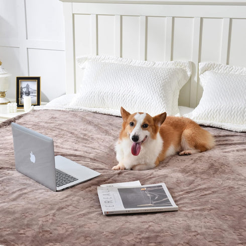 Qeils Dog Blankets for Small Dogs - Waterproof Cat Blanket Washable - Sherpa Fleece Puppy Blanket, Soft Plush Reversible Throw Protector for Bed C...