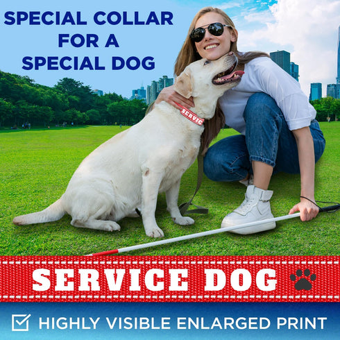 TECEUM Reflective Pet Collar – Red - Service Dog – S – Basic Nylon Dog Collar – Quick Release Buckle – Fits Small, Medium and Large Dogs, Puppies,...