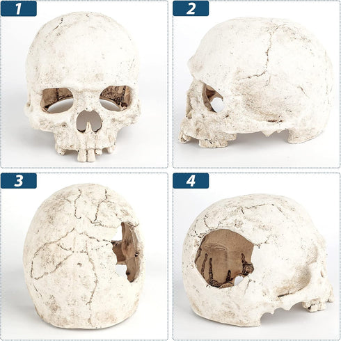 Uniclife Aquarium Skull Reptile House Decor Resin Head Skeleton Ornament for Tank Landscape Decorative Hideout Cave Shelter for Small Fish Shrimp ...