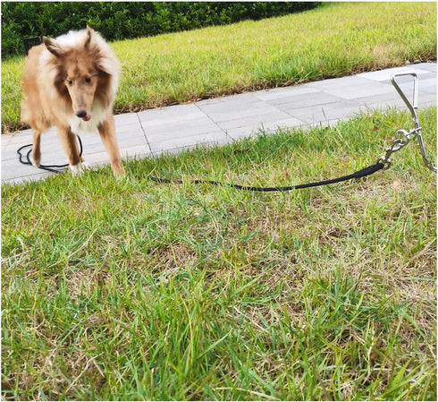 Tie Out Rope Dog Leash, 8-10-13-15-20-25-30-35-40-45-50FT Heavy Duty Nylon Check Cord for Medium Large Dogs Indoor/Outdoor Playing Camping Backyar...