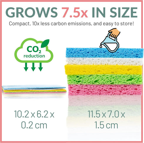 bioGo 30 Pack Compostable Pop-Up Sponges - Expanding, Non-Scratch, Plant-Based Dish Sponges...