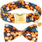 Happy Halloween Dog Collar with Pumpkin - Durable, Adjustable, and Stylish Pet Collar Available in Small, Medium, Large L...
