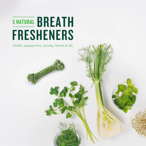 Minties Dental Chews for Dogs, 8 Count, Vet-Recommended Mint-Flavored Dental Treats for Medium Dogs 25-50 lbs, Dental Bones Clean Teeth, Fight Bad...