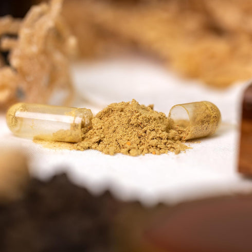 Sea Moss 3000mg Black Seed Oil 2000mg Ashwagandha 1000mg Turmeric 1000mg Bladderwrack 1000mg Burdock 1000mg Manuka Honey Dandelion ACV - 120 Capsu...
