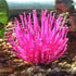 Sporn Aquarium Decoration, Anemone Pink...