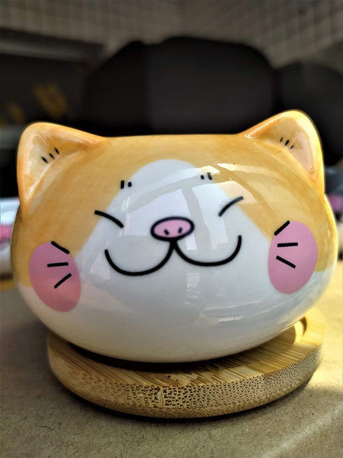 Cute 3.5 Inches Indoor Cartoon Animal Cat Shaped Ceramic Succulent Cactus Flower Plant Pots with Bamboo Tray (Plant Not Included) (Yellow)...
