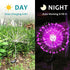 JJGoo Solar Garden Lights Solar Firework Lights, 2 Pack 120 LEDs 2 Lighting Modes Solar Lights Outdoor Waterproof for Garden Patio Walkway Pathway...