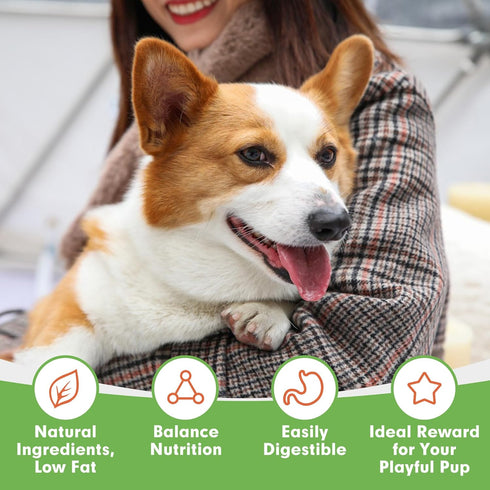 MON2SUN Dog Treats, Chicken Jerky Strips for Small Dogs, High Protein & Grain Free Dog Snacks, Easy to Digest Dog Training Treats (Chicken, 10.58 ...