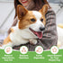 MON2SUN Dog Treats, Chicken Jerky Strips for Small Dogs, High Protein & Grain Free Dog Snacks, Easy to Digest Dog Training Treats (Chicken, 10.58 ...