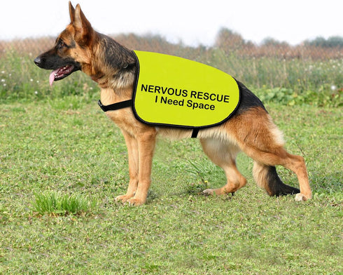 Rescue Dog Jacket Vest Nervous Rescue Space Dog Vest Dog Walking Slogan Warning Vest (Nervous Rescue Space-Medium)...