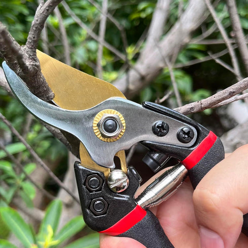 Pruning Shears for Gardening, Ergonomic Grip Handle, Tree Trimmers Secateurs, Hand Pruner, Garden Shears, Clippers For The Garden, Bonsai Cutters...