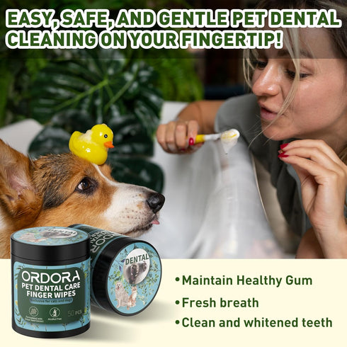 ORDORA PET Teeth Cleaning Wipes for Dogs & Cats, Dog Teeth Cleaning Finger Wipes - Dog Tooth Brushing Kit Dental Wipes - Reduces Plaque & Freshens...