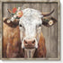 Cattle Framed Wall Art Decor: Country Wooden Farm Cow Animal Painting Rustic Farmhouse Picture Brown Calf with Wildflowers Artwork for House Guest...