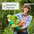 Sow Right Seeds - Arugula Seeds for Planting - Non-GMO Heirloom Seeds with Instructions to Plant a Home Vegetable Garden - Indoors, Hydroponics or...
