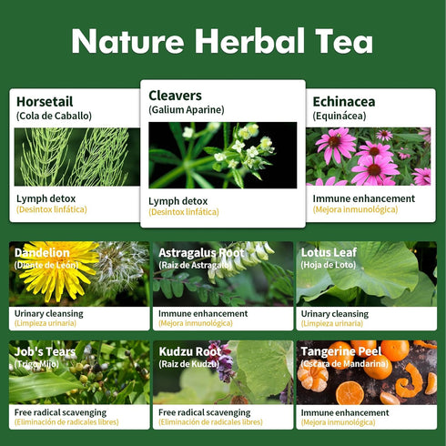 Herbmood Cleavers Lymphatic Drainage Tea Bags for Lymph System Support, Horsetail and Dandelion Organic Herbal Formula, Lymphatic Cleanse & Detox,...