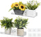 2Packs Window Shelf for Plants Indoor, 12inch Acylic Clear Floating Wall Shelf Decor, Window Sill Extender for Flower Pots, Self-Adhesive Wall Han...