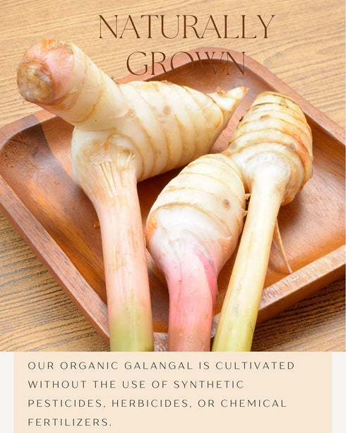 Organic Galangal Powder 4 OZ - Galanga Spice Seasoning in Asian Cooking - for Thai, Indonesian, and Malaysian Cuisine...