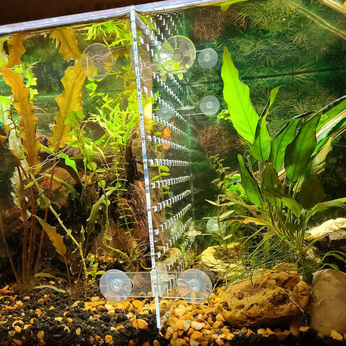 Fish Tank Divider Acrylic Aquarium Divider Kit with 8 Suction Cups Accessories Fish Separator Transparent Plate (Suction Cup Included) 11.8 * 15.7...