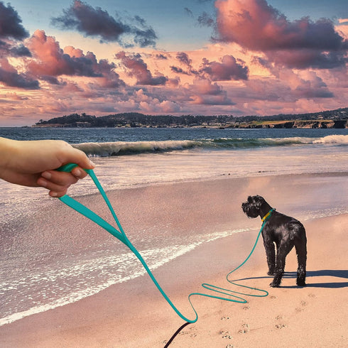 5ft Viridian Green Waterproof Training Dog Leash?Sturdy Dirt & Odor-Resistant Leash for Small Medium Large Dog? Cute Color Leash for Boys Girly Do...