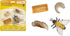 Safari Ltd. Life Cycle of a Honey Bee - Educational Toy Figurines - Miniature Bee Lifecycle Collection for Boys, Girls & Kids Age 4+...