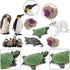Sea Animal Toys Playset 8Pcs Arctic Animal Figurines Polar Bear Penguin Turtle Figures Model Cake Toppers Early Learning Gifts for Kids...