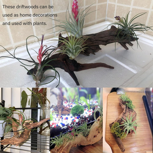 Tfwadmx 5PCS Aquarium Driftwood Branches Reptiles Trunk Driftwood Natural Wood Fish Tank Decoration Plant Stump Ornament Decor Assorted...