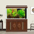 Aquarium Background Aquatic Plant River Bed & Lake Fish Tank Background Undersea Tropical Green Aquatic Plant Terrarium Background Decor Vinyl 24x...