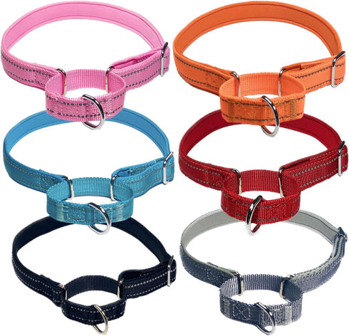 Martingale Dog Collars, Reflective Safety Puppy Collar, Adjustable Soft Nylon Training Dog Collar,Metal Accessories Heavy Duty No Pull Pet Collars...