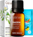 Gya Labs Jasmine Essential Oil for Diffuser & Aromatherapy - Natural Jasmine Oil Essential Oil for Diffuser, Skin, Hair, Massages, Candle Making -...