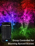 echosari Smart String Lights 100 LED 33Ft RGB Built in Chip Fairy Lights with Remote & App Control, 16 Million Color Changing Christmas Trees Ligh...