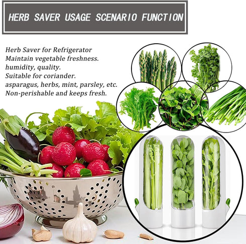 Herb Saver, Herb Keeper for Refrigerator, Cilantro Containers for Refrigerator, Herb Saver Pod, Fresh Herb Keeper for Cilantro, Parsley, Asparagus...
