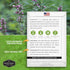 Motherwort Seed for Planting - 1 Packet with Instructions to Plant and Grow Lion's Tail Medicinal Herbs in Your Home Herb Garden - Non-GMO Heirloo...