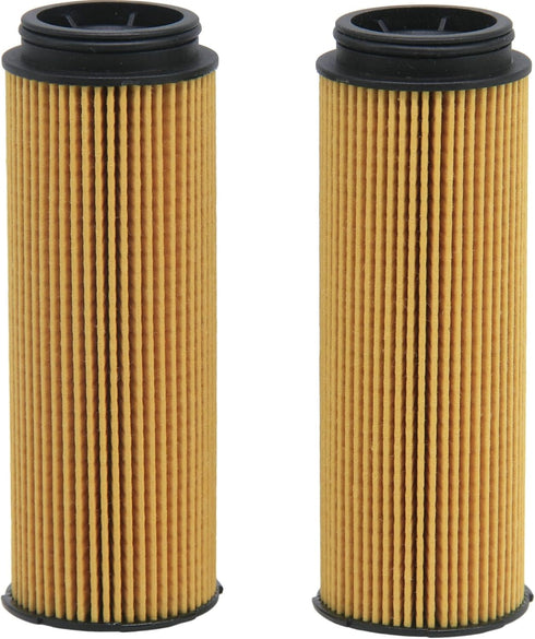2 Pack of BAIZHIHUA EO-30300 Oil Filter Replaces 11428583898, HU6022Z, PG99256EX Fits BMW X5, X7, X3, X4 540i xDrive,740i, M240i, xDrive40i, 340i ...