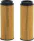 2 Pack of BAIZHIHUA EO-30300 Oil Filter Replaces 11428583898, HU6022Z, PG99256EX Fits BMW X5, X7, X3, X4 540i xDrive,740i, M240i, xDrive40i, 340i ...