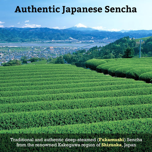SUGIMOTO TEA Japanese Sencha Green Tea Loose Leaf 3.5 oz (100 g) Pack of 1...