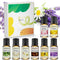 Water Soluble Essential Oil Set Perfect for Diffusers,Humidifiers and Home Premium Aromatherapy Oil Gift 8x10ml-Lemon,Sandalwood,Lily,Rose,Freesia...