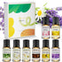 Water Soluble Essential Oil Set Perfect for Diffusers,Humidifiers and Home Premium Aromatherapy Oil Gift 8x10ml-Lemon,Sandalwood,Lily,Rose,Freesia...