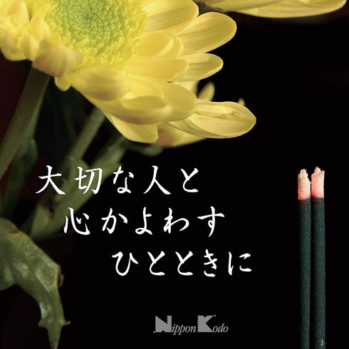 Nippon Kodo 22051 Eiju Meiko Incense, Cinnamon and Amber, Brown, 16 x 8.5 x 3.5 cm...