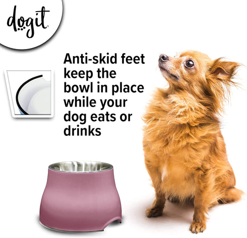 Dogit Elevated Dog Bowl, Stainless Steel Dog Food and Water Bowl for Small Dogs, Pink, 73742...