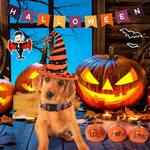6 Pcs Halloween Dog Collars for Dogs Pumpkin Basic Dog Collars Adjustable Lightweight Holiday Dog Collar Comfortable Dog Collars with Plastic Buck...