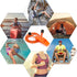 Emergency Whistle, Super Loud Floating Whistle with Lanyard, Ideal for Boating, Swimming, Kayaking, Water Survival, Hiking, Camping, Climbing...