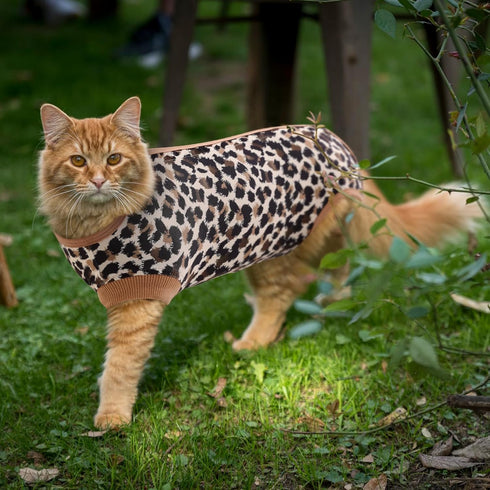 SAWMONG Cat Recovery Suit After Surgery Recovery Shirt Breathable E-Collar Alternative Non-Lick Pet Body Suit,Brow Leopard L...