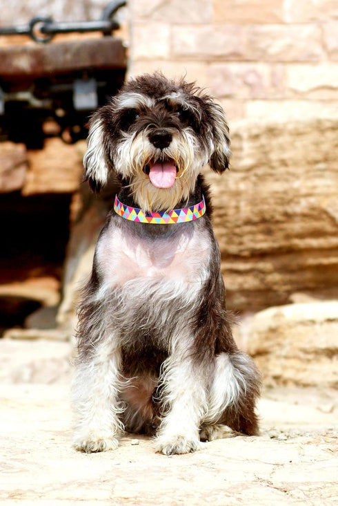 Cute Dog Collar for XS Small Medium Large Dogs, Soft Nylon Pet Collar,3D Print Multicolor Patterns collars Adjustable for dogs Girl Boy Puppy Walk...