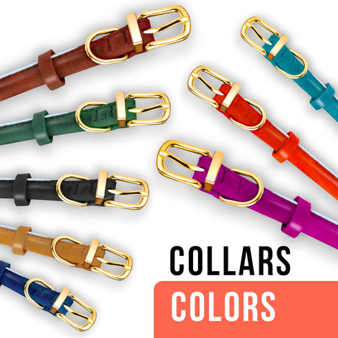 Reflective Rolled Leather Dog Collar for Small Dogs, Adjustable Soft Padded Pet Collar for Small Breed Dogs Puppy (XXS, 7"-9", Teal)...