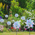 Hausse 10 Pack Reflective Pinwheels Wind Spinner, Extra Sparkly Pinwheel with Stakes, Bird Repellent Blinder Devices Deterrent to Scare Birds Away...