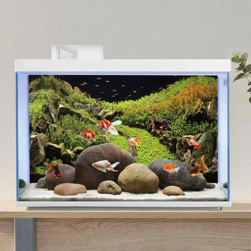 AWERT 30x18 inches Stone Aquarium Background Aquatic Plant River Bed & Lake Fish Tank Background Vinyl Background...