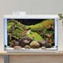 AWERT 30x18 inches Stone Aquarium Background Aquatic Plant River Bed & Lake Fish Tank Background Vinyl Background...