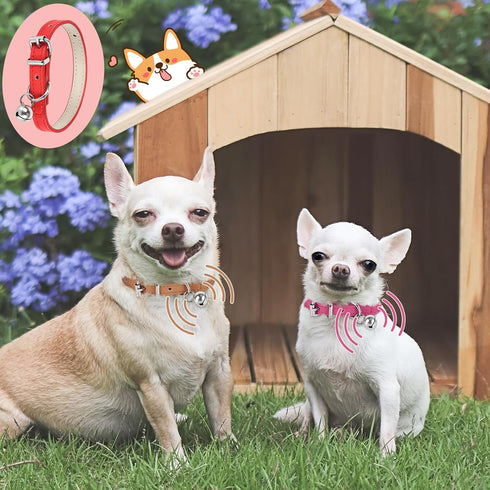 XXS Dog Collar for Teacup Adjustable Teacup Dog Collar for Small Medium Large Dogs 3/8 inch Width (Green, XXS)...